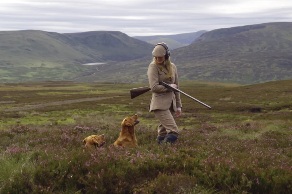 Driven Clay Co. photography: a shooter in tweed and ear defenders carrying a shotgun across heather, two gundogs at her side